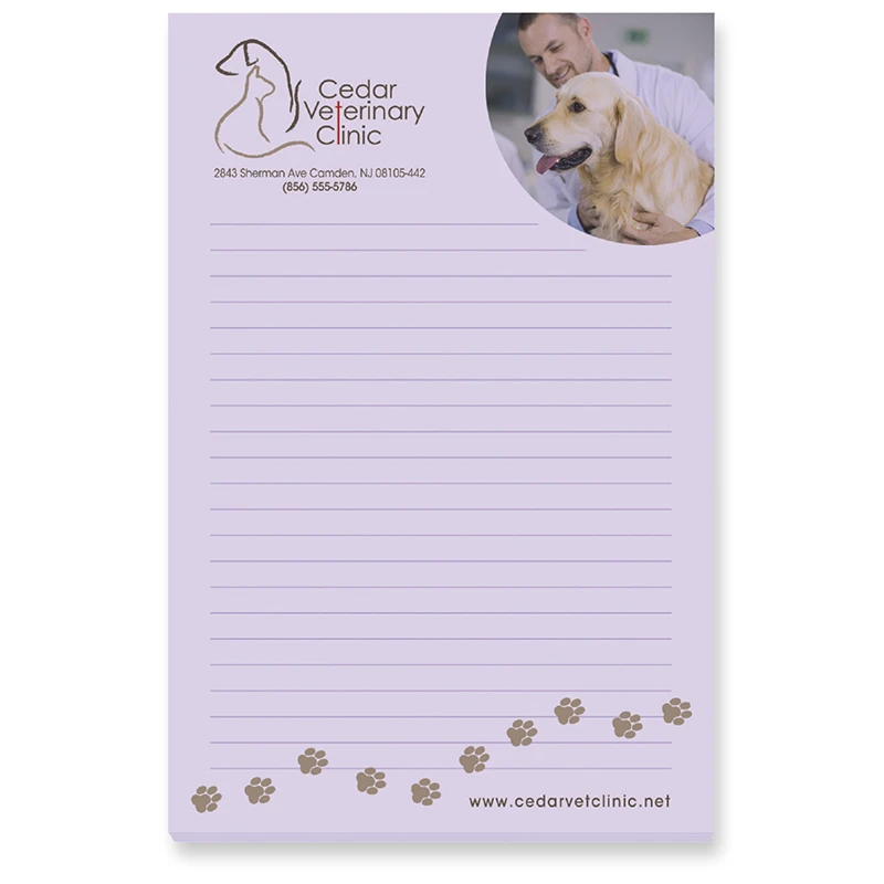 souvenir sticky note 4x6 inch 25 sheets